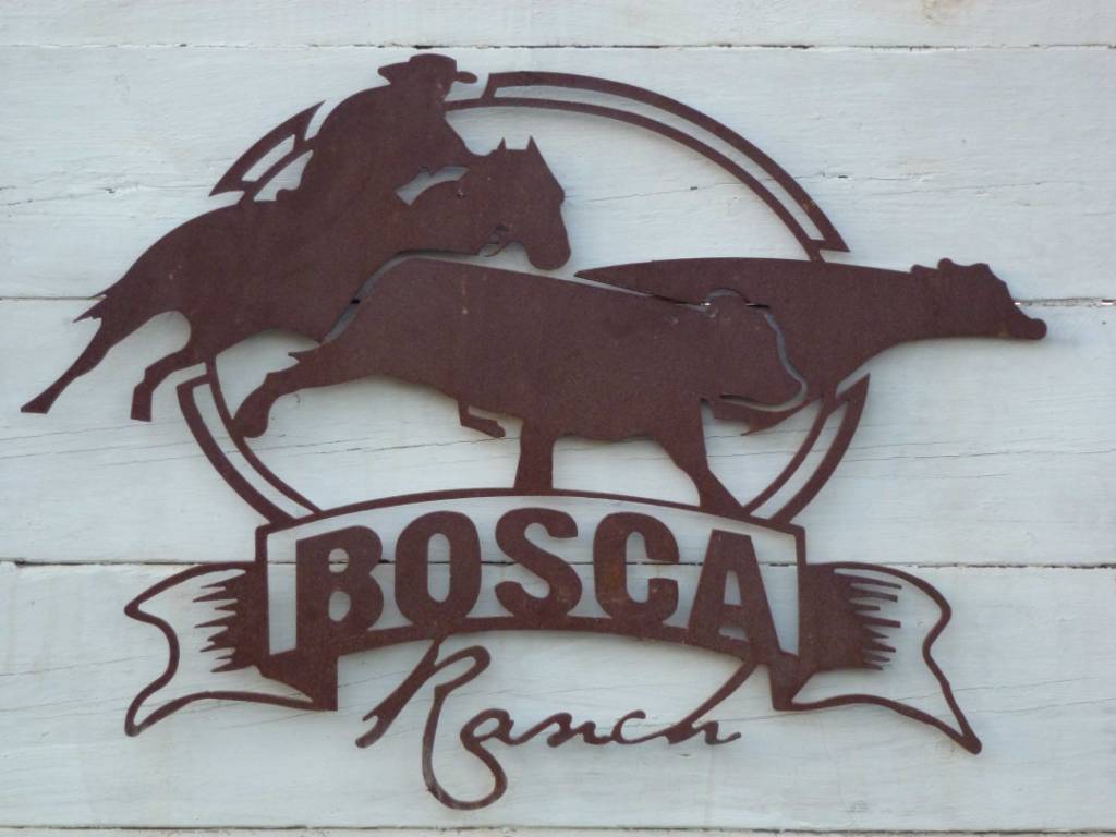logo compresso